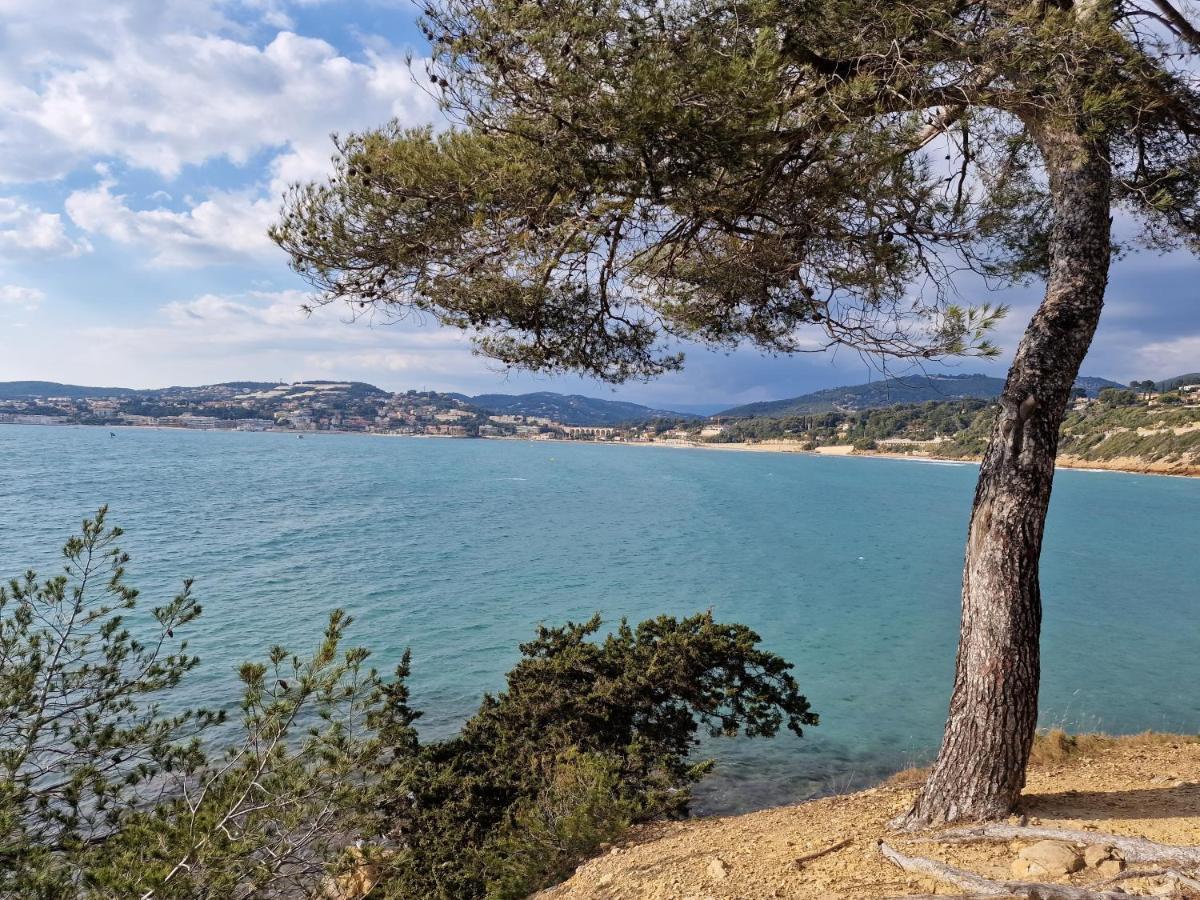 Sanaritz Lejlighed Sanary-sur-Mer Eksteriør billede